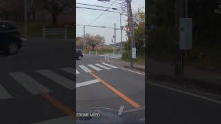 ほぼ信号無視！いや！信号無視です#shorts #道路交通法