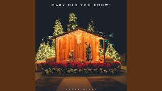 Mary Did You Know? (Instrumental Version)