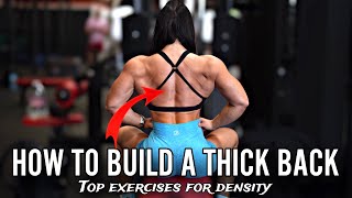 THE BACK WORKOUT FOR THICKNESS