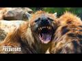 The Dark Side: Baby Animals Turn Into Deadly Predators | WORLD'S DEADLIEST: FULL SEASON MARATHON