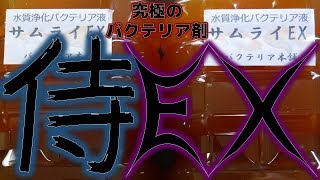 【バクテリア剤】ネットで話題のサムライEXを購入。もう砂利なんていらない【ふぶきテトラ】