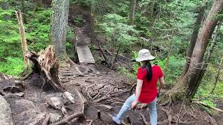 BCMC Hike and Identifying Wild Edibles on Trail, Best Vancouver Hikes