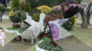 2009 Taipei Flower Show 台北花卉展