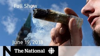 The National for June 19, 2018 — U.S. Immigration, Legal Pot, Fish Farms