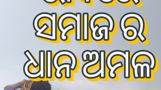 ପ୍ରାକୃତିକ ଭାବେ କରାଯାଉଥିବା ସମାଜ ର ଧାନ ଅମଳ ,prakrutika bhahare karajauthiba samajara dhana Amala#