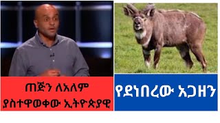 አስገራሚው ሰው የሀገራችንን ባህላዊ መጠጥ ለአለም እንዴት አስተዋወቀ :የደነበረ አጋዘን ሰው ጨረሰ ከየት መጣ;;;