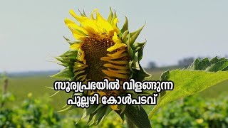 PULLAZHI KOLE LAND THRISSUR