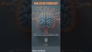 BUNLARI BİLİYORMUSUN? #7