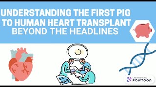 Demystifying Xenotransplantation: Understanding the First Pig to Human Heart Transplant. Part 2
