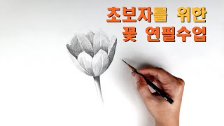 초보자를 위한 꽃 연필수업 / 기초소묘, 꽃그리기