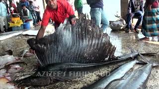 সাগরের বাহারী মাছ দেখা/Sea Fish Market/ সাগরের ছোট বড় মাছ