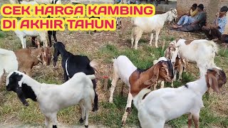 CEK HARGA KAMBING DI AKHIR TAHUN