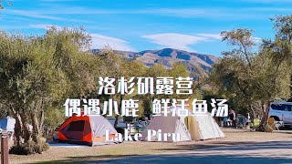 【山间小鹿🦌鲜活鱼汤🐟】露营那么多次，居然还惊喜连连 | Campsite #44 \u002646 @ Lake Piru