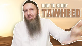 Studying Tawheed: What to Memorize, Study \u0026 Read