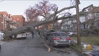 Tree falls in Queens, crushes van