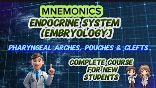 ENDOCRINE SYSTEM EMBRYOLOGY LECTURE #05 PHARYNGEAL ARCHES, POUCHES \u0026 CLEFT