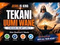Tekani Uumi Wane