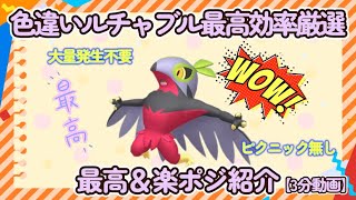 【3分動画】色違いルチャブル最高効率厳選＆楽ポジ紹介#ポケモンsv #最高効率 #色違い #大量発生不要 #ピクニックなし #ルチャブル