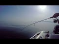 Чернокоп Лайт Джигинг в Черно море black sea bluefish super light jigging