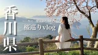 【香川県】紫雲出山(絶景),栗林公園,鹿の井出水記念碑,たからだの里財田,挿頭丘駅(ことでん電車),｜桜巡りvlog#24