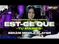 DJ EST-CE QUE TU M'AIMES  ||  BASS MEGATRUST NROTOK NROTOK MIDDLE BLAYER || CADELLEKSU RMX