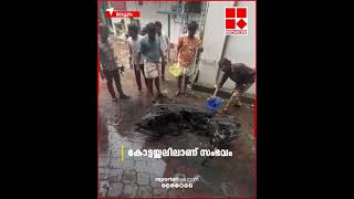 എല്ലാം കത്തി തീർന്നു!; കോട്ടയ്ക്കലിൽ ഇലക്ട്രിക് സ്കൂട്ടറിന് തീപിടിച്ചപ്പോൾ | Electric Scooter