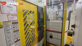 Automated Production Line Launch: Transforming Our Capacity!