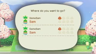 What Happens If There Are the Exact Same Island and Villagers in ACNH