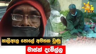 හාලිඇල පොලේ අමතක වුණු මාස්ක් දැමිල්ල - Hiru News