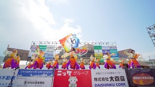 [4K] よさこい連「わ」　加古川 踊っこまつり 2018 2日目 本部競演場