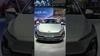 2024 Wuling Starlight EV Video (Practical Sedan)