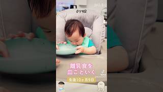 【生後10ヶ月9日】離乳食を皿ごといく👶 #ソラ君 #baby #shortvideo #shorts #赤ちゃんのいる生活 #育児 #子育て #可愛い #離乳食 #BLW #離乳食レシピ #ママ