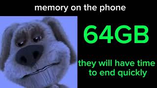 MEMORY ON THE PHONE