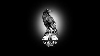 Tribute - 20 Years of Snowboarding , Skateboarding & Community