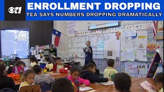 Texas public schools enrollment numbers dropping dramatically, TEA says