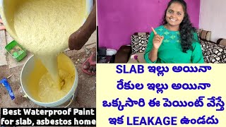 DAMP PROOF Paint for terrace,slab, asbestos in Telugu | Water Proofing Procedure | DAMP PROOF paint