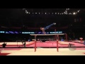 BARTOLINI Nicola (ITA) - 2015 Artistic Worlds - Qualifications Parallel Bars