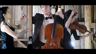 Socially Distanced Chamber Music - Beethoven Trio Op.97 (Archduke)