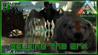 Taming all the utilities we'll need - Soloing the Ark S6E133