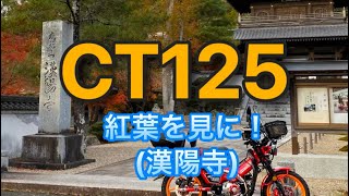 CT125、紅葉を見に！ （125）