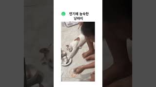 자는 척하면서 생선 가져감ㅋㅋㅋ