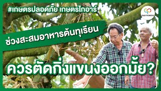 ช่วงสะสมอาหารต้นทุเรียน ควรตัดกิ่งแขนงออกมั้ย? l เกษตรปลอดภัย เกษตรไกอาร์ #Giarpowers