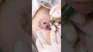 #강아지타투 #dogtattoo #타투브이로그 #tattoovideo #cutedog #강아지브이로그 #tattooartist #tattooideas