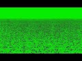 4k Rain Drops Green Screen