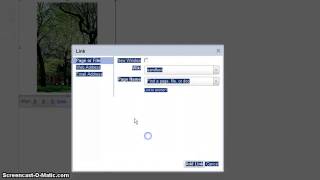 Wikispaces: Linking Image Page to Text Page