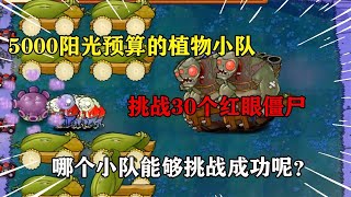 PVZ：五千阳光预算挑战30个红眼僵尸！这四种植物小队，哪一支战斗力最强呢？【梗梗游戏解说】