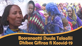 Booranaatti Duula Talaallii Dhibee Gifiraa fi Koovid-19