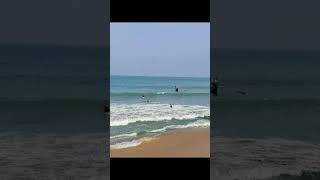beachscene net fishing #shorts #short #viral #youtubeshorts #youtube #amazing #funny #tiktok #ocean