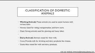 The Fascinating World of Domestic Animals