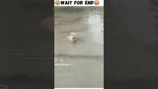 ..Wait for end 😂😂🤣 #funny... #comedy  #viral .... #funnymemes  #shorts
